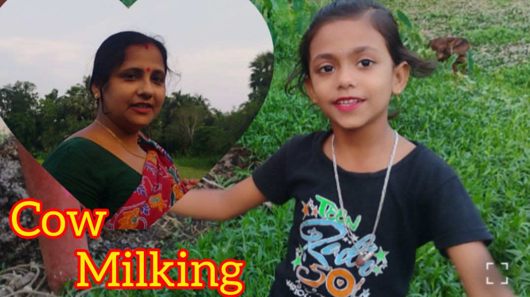 ⁣Family cow milking video #homework#villagelife
