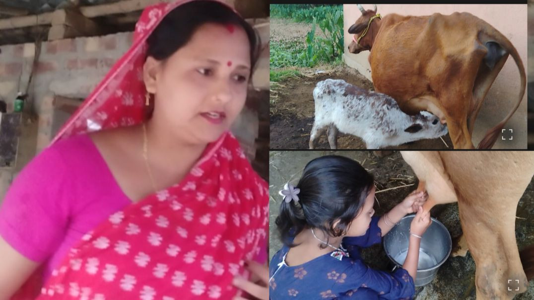 ⁣Village Life l Cow Milling Routine #villagelife# trending #cowmilking