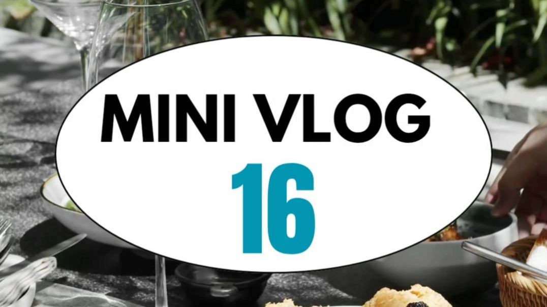Mini vlog 16 ,Street Food Tour in Katni 🍔🥙 🍦 | #minivlog#shortsfeed#browsefeatures#trending#shorts