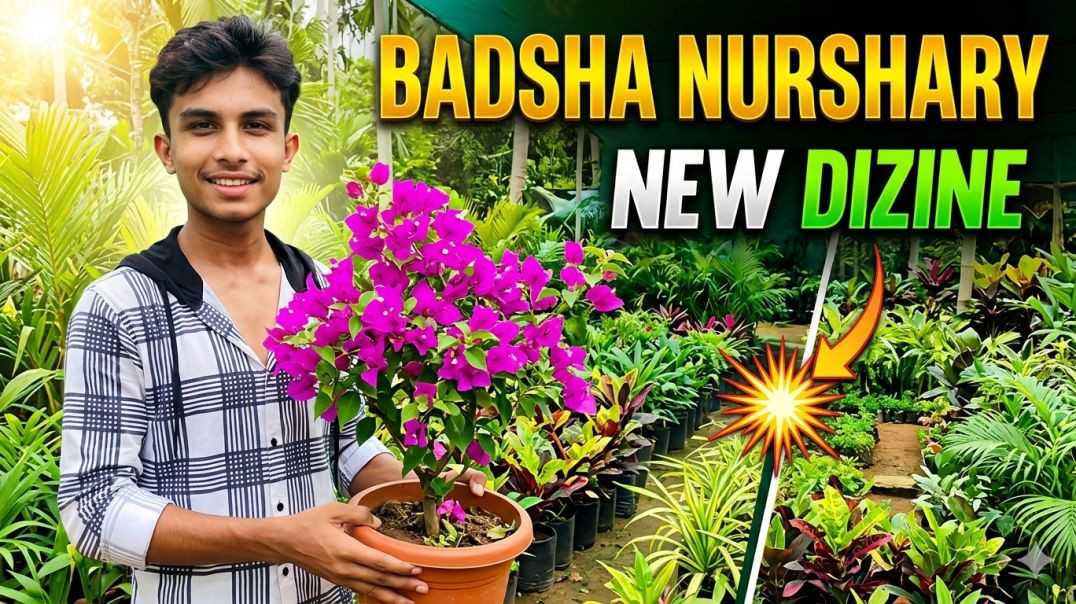 ⁣Badsha Nursery Vlogs Part 2