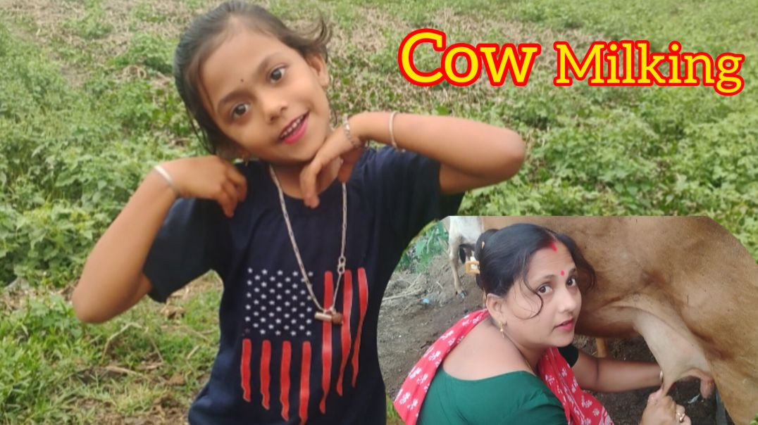 ⁣Family cow milking video 🐄🍼#homework#cowmilking#dailyvlog