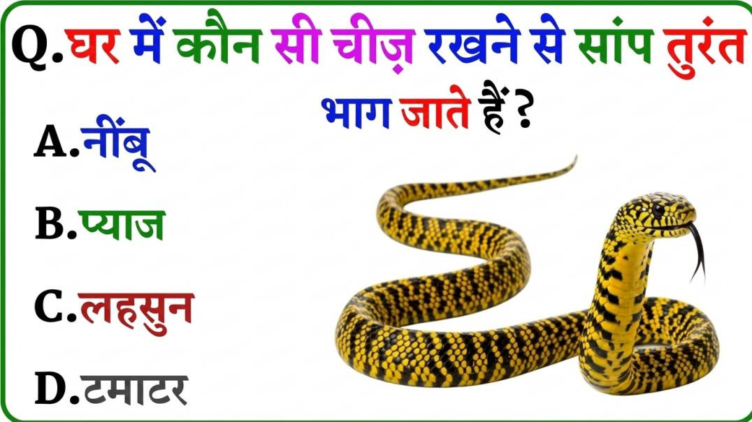 ⁣GK Question || GK In Hindi || GK Question and Answer || GK Quiz || Riya Rawani || 49