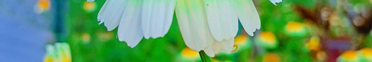 @ak_editor_143 @ak_editor_143