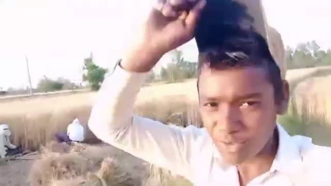 ⁣जबरदस्त गेहूं की कटाई हो रही है हमारे गांव में