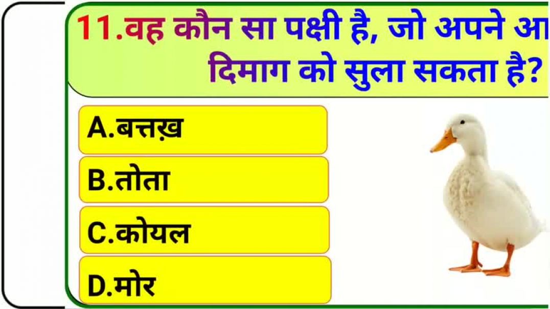 ⁣GK_Question____GK_In_Hindi____GK_Question_and_Answer____GK_Quiz___(480p)(1)_260515151117