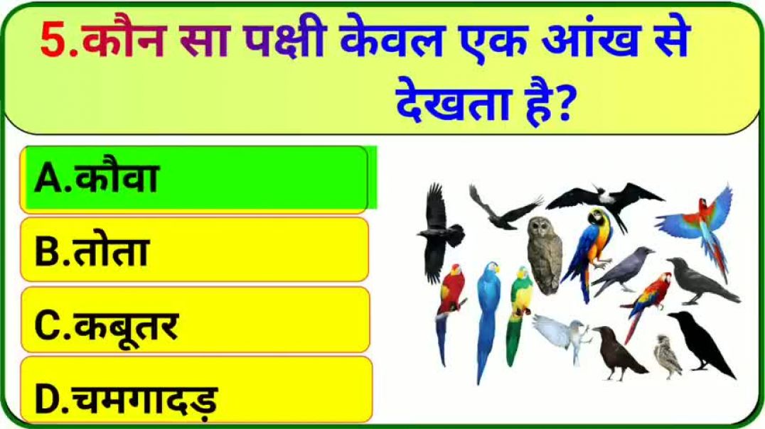 ⁣GK_Question____GK_In_Hindi____GK_Question_and_Answer____GK_Quiz___(480p)_260527154819