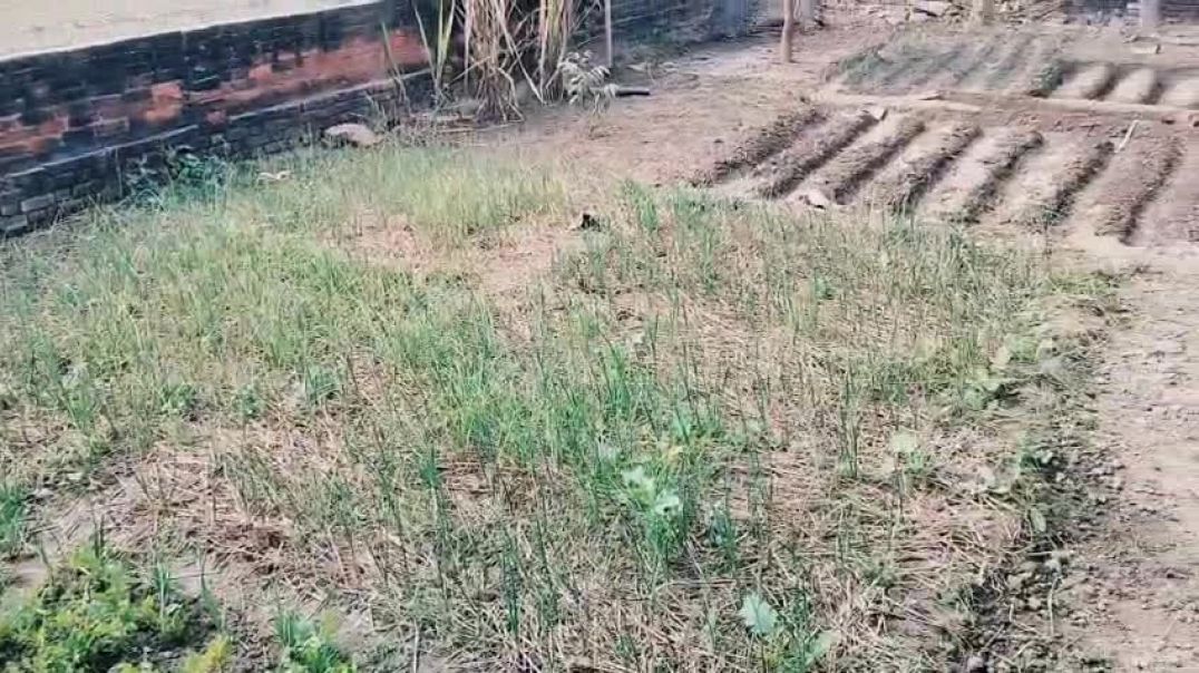 ⁣Village Vlog #beautyfulvillage❤️❤️#newvlog#trendingvlog.