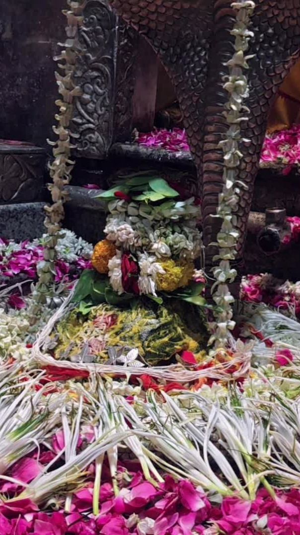 महाकाल आरती दर्शन
