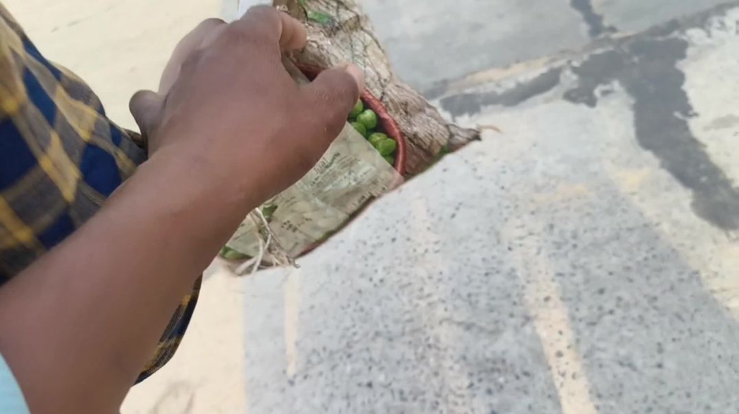 ⁣ईट कैसे खलाते हैं