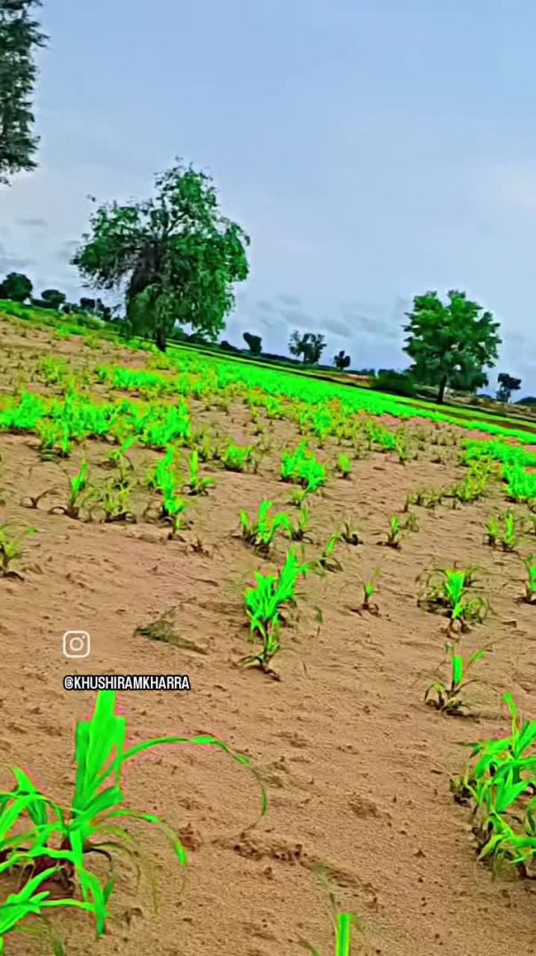 किसान