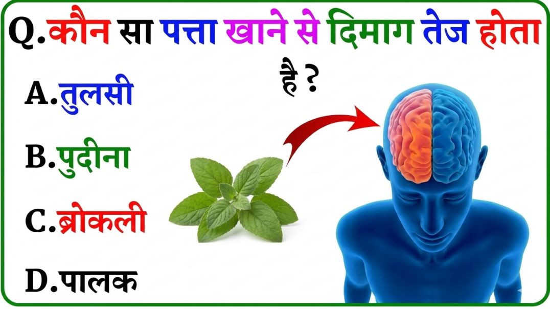 ⁣GK Question || GK In Hindi || GK Question and Answer || GK Quiz || Riya Rawani || 45