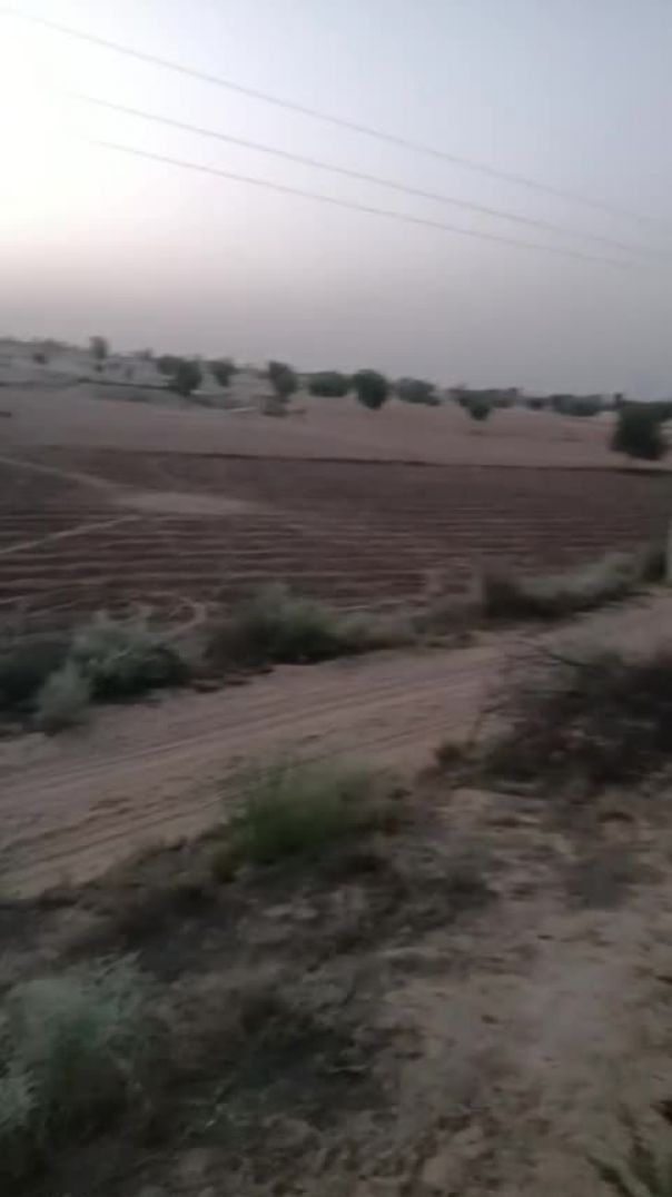 VID-20260526-WA0002