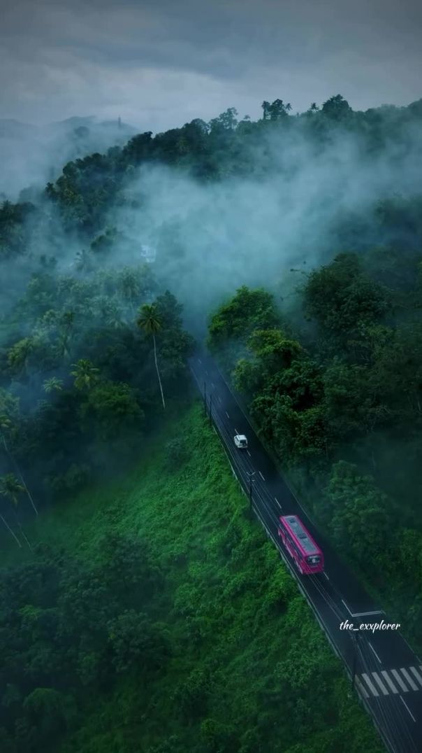 Road to Paradise ☁️🌲 | Misty Mountain Drive