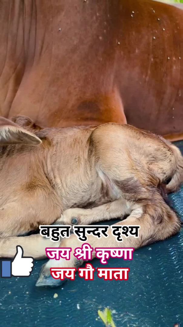 जै श्री राम