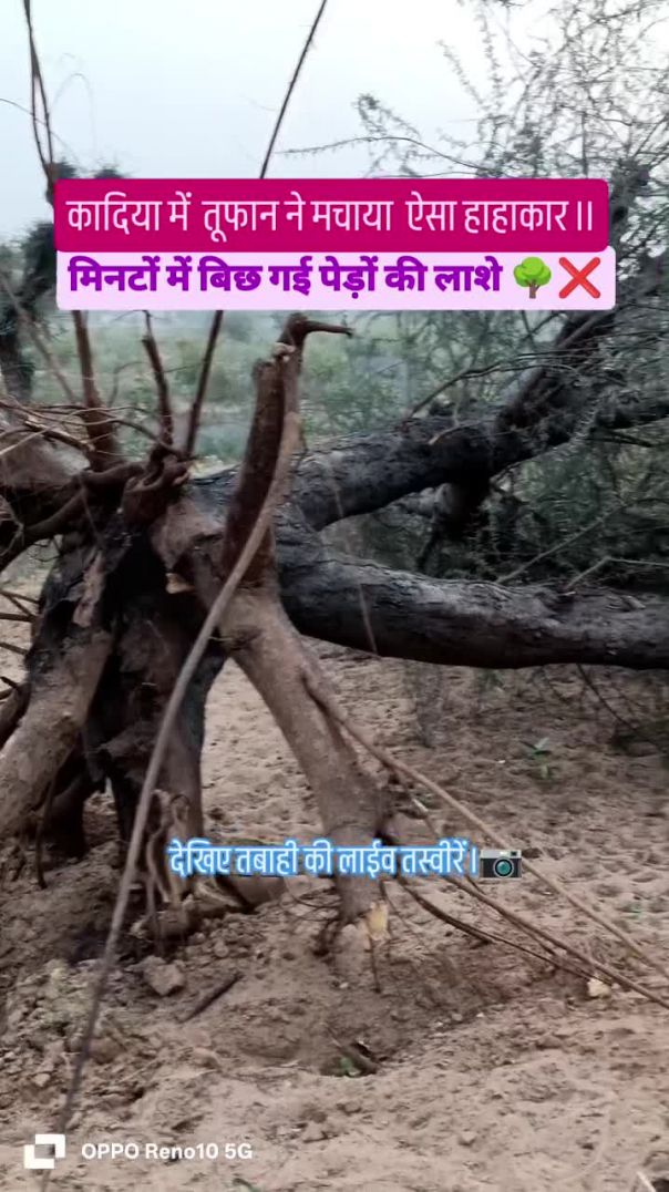 _कादिया में तूफानी मंजर ।💨❌ देखिए तबाही की