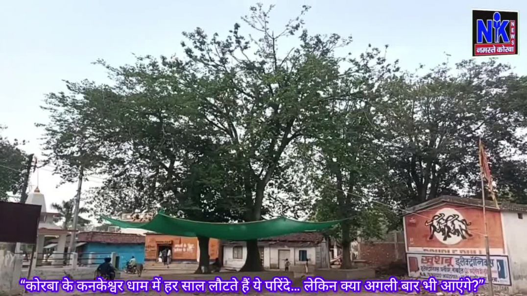 ⁣“कोरबा के कनकेश्वर धाम में हर साल लौटते हैं ये परिंदे… लेकिन क्या अगली बार भी आएंगे_”