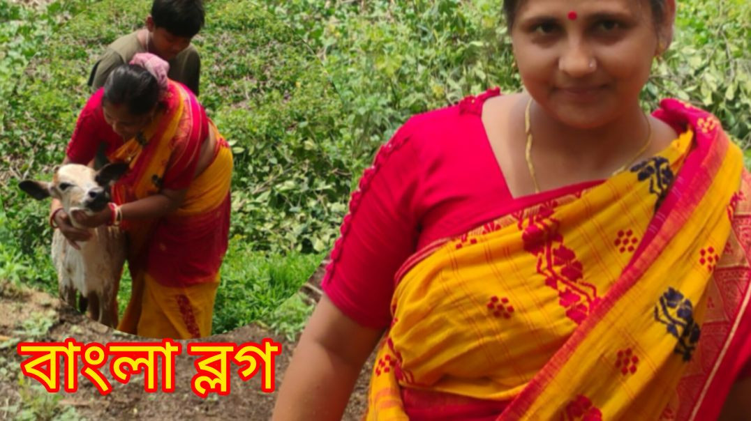 ⁣Village Life l family cow video 😍#familyvog#dailyvlog#rajuda