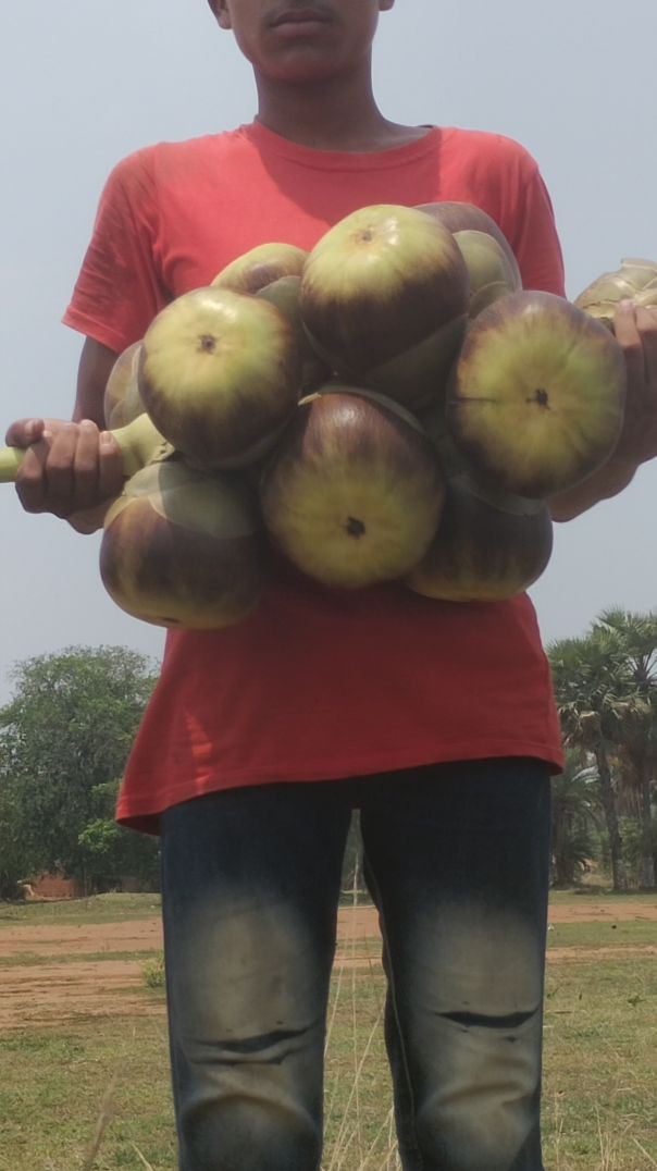 ✨ Apni bhi zindagi mein khushiyon ka pal aayega, bas hausla aur mehnat banaye rakho। ❤️