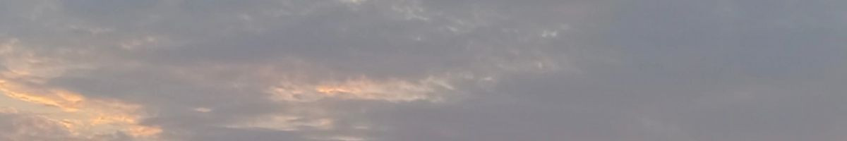 102029242971577320443 