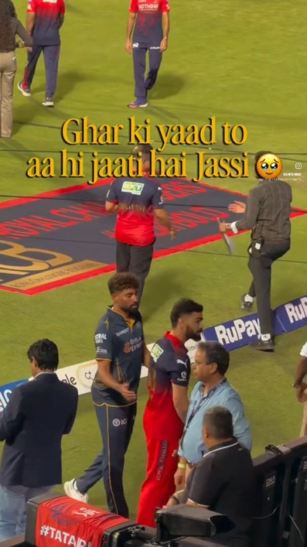 Ipl lover