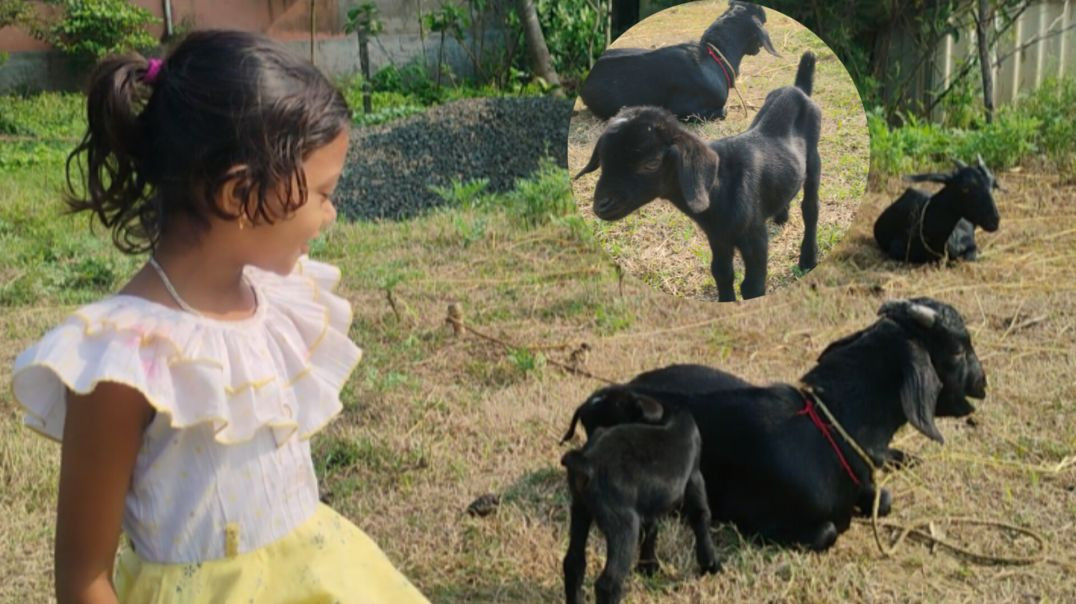 ⁣Cote Jayashree village vlog ❤️#villagelife#dailyvlog#kidsvlog