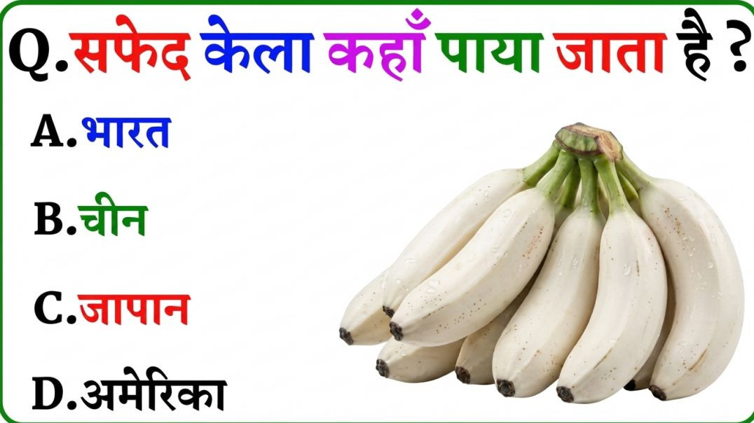 ⁣GK Question || GK In Hindi || GK Question and Answer || GK Quiz || Riya Rawani || 38