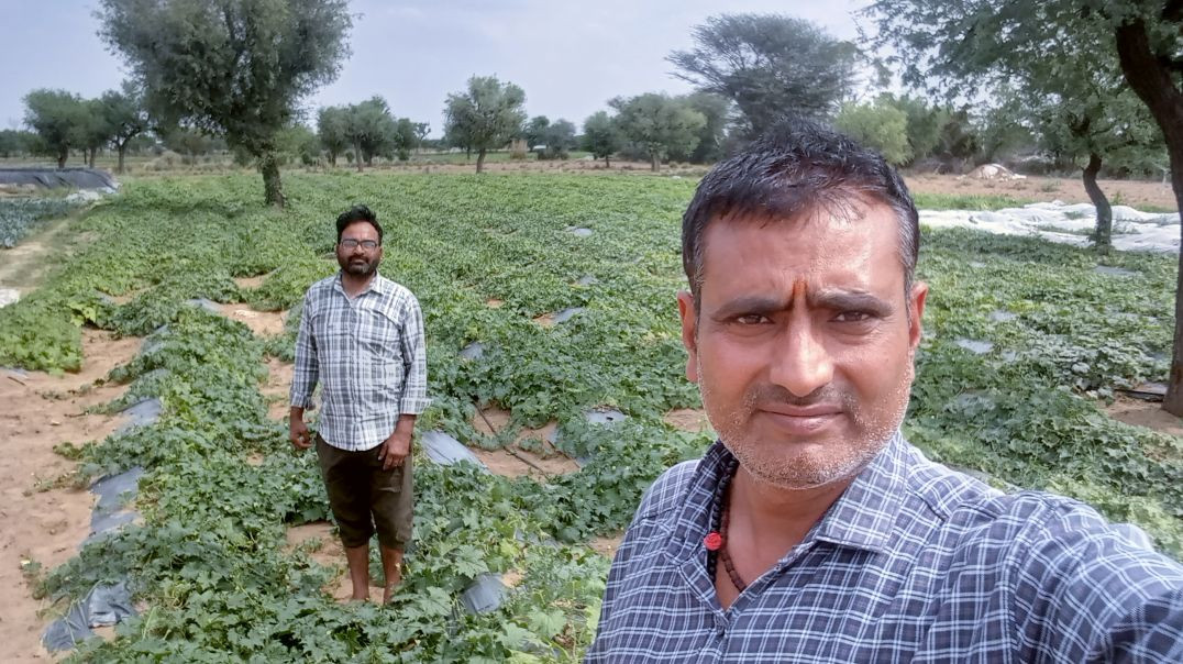 ⁣Green house se kheti