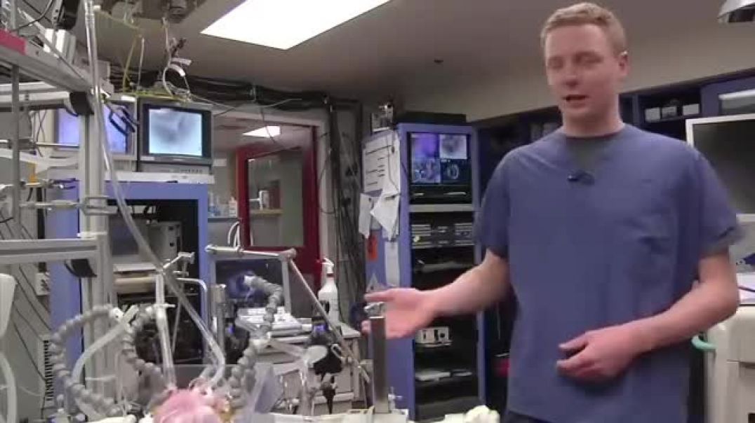 Visible_Heart_Laboratory