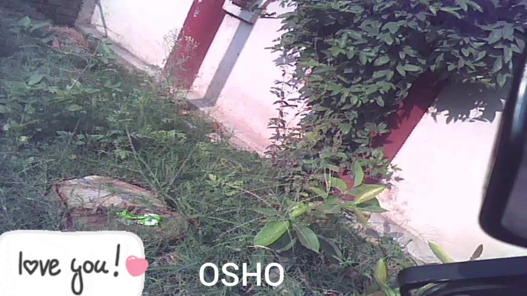 ⁣Video