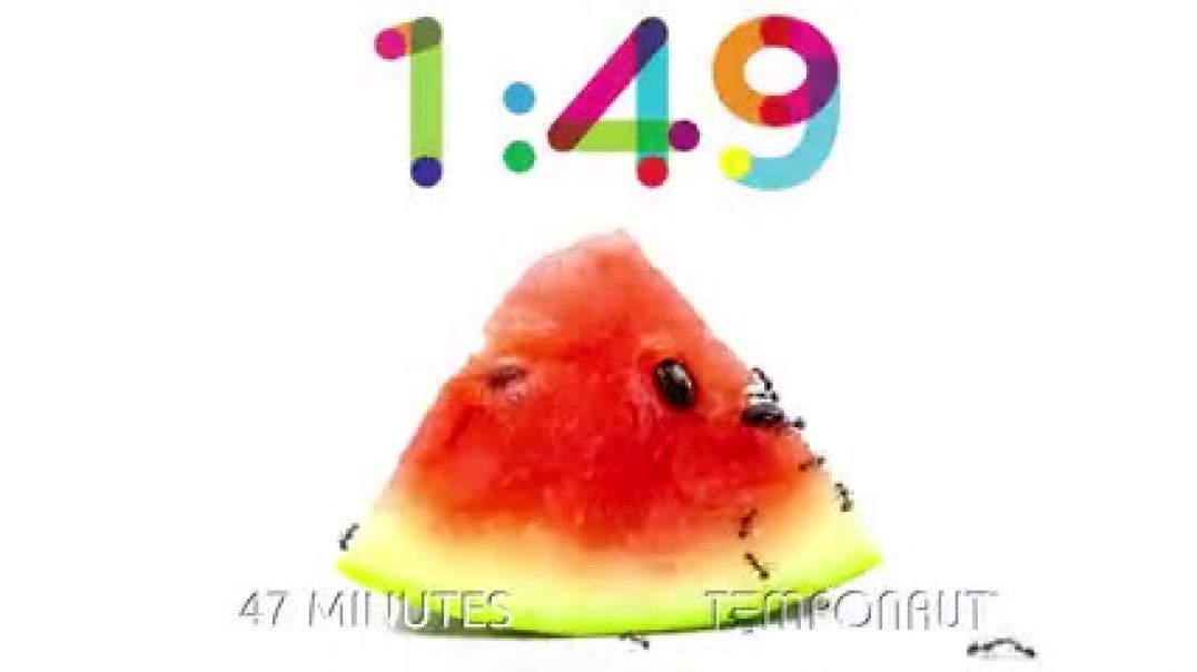 2_Minute_Timer_[ANTS_vs_WATERMELON]_🍉🐜(240p)