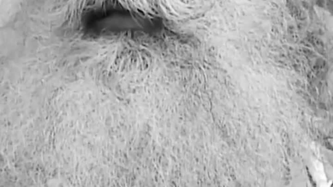 ⁣जब आपको समझ आता है कि सब कुछ आपके नियंत्रण में नहीं है - miracle of mind मन का चमत्कार Sadhguru