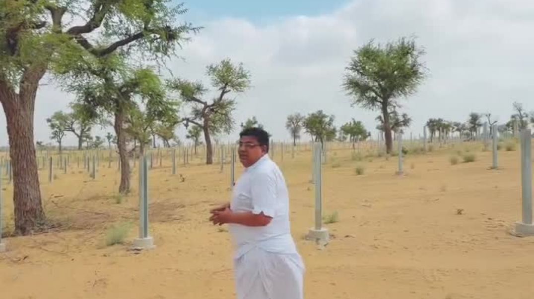 ⁣तेजाजी मंदिर तिलक नगर बाड़मेर