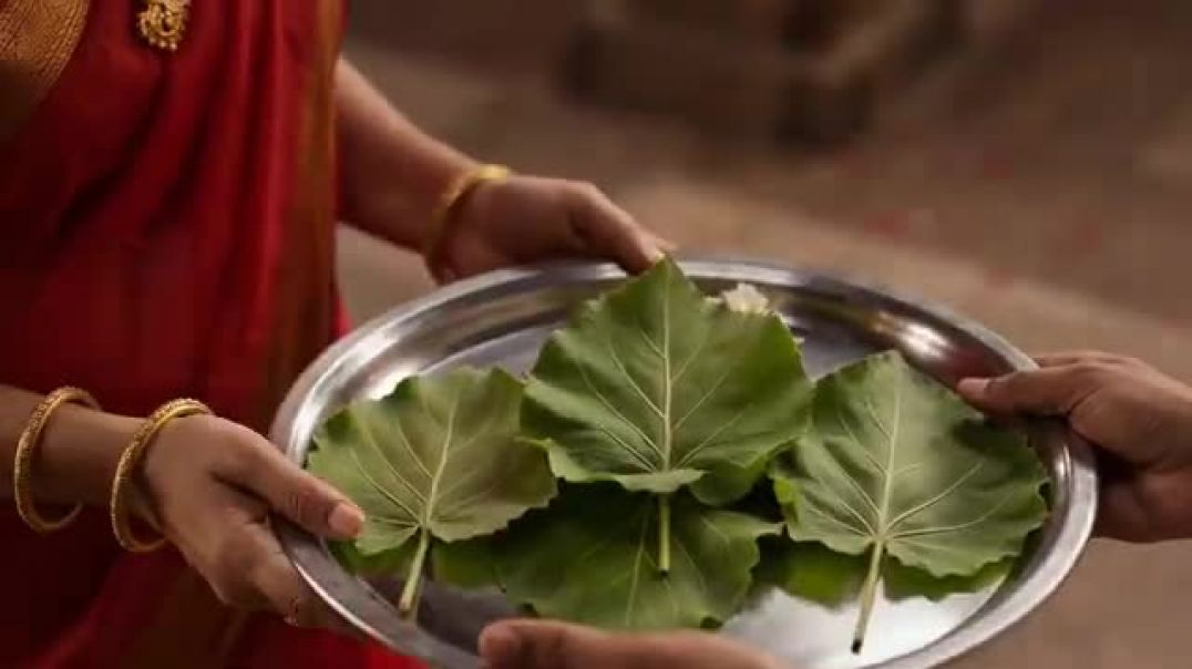 शिवलिंग_पर_बेलपत्र_चढ़ाने_का_सच___Shiv_Puja_Facts___Mahashivratri_Special___Rajiv_Dixit