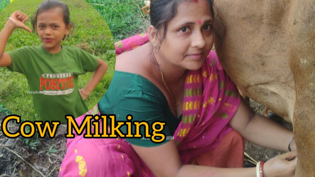 Cow milking process in Bangla family vlog #dailyvlog#villagelifr