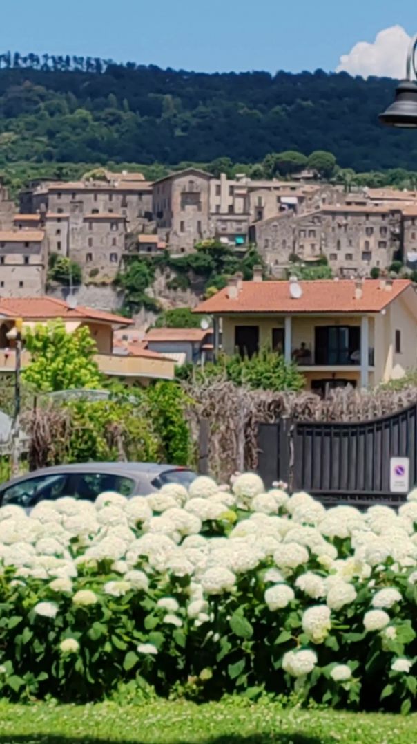 Bolsena Town and Lake Bolsena