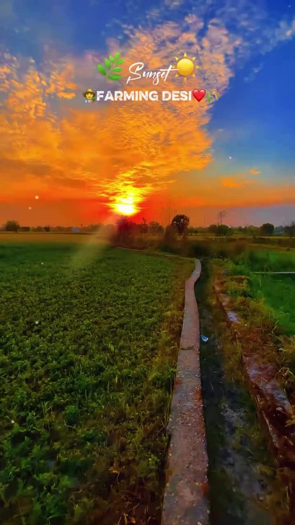 farming_ind01-20260617-0001