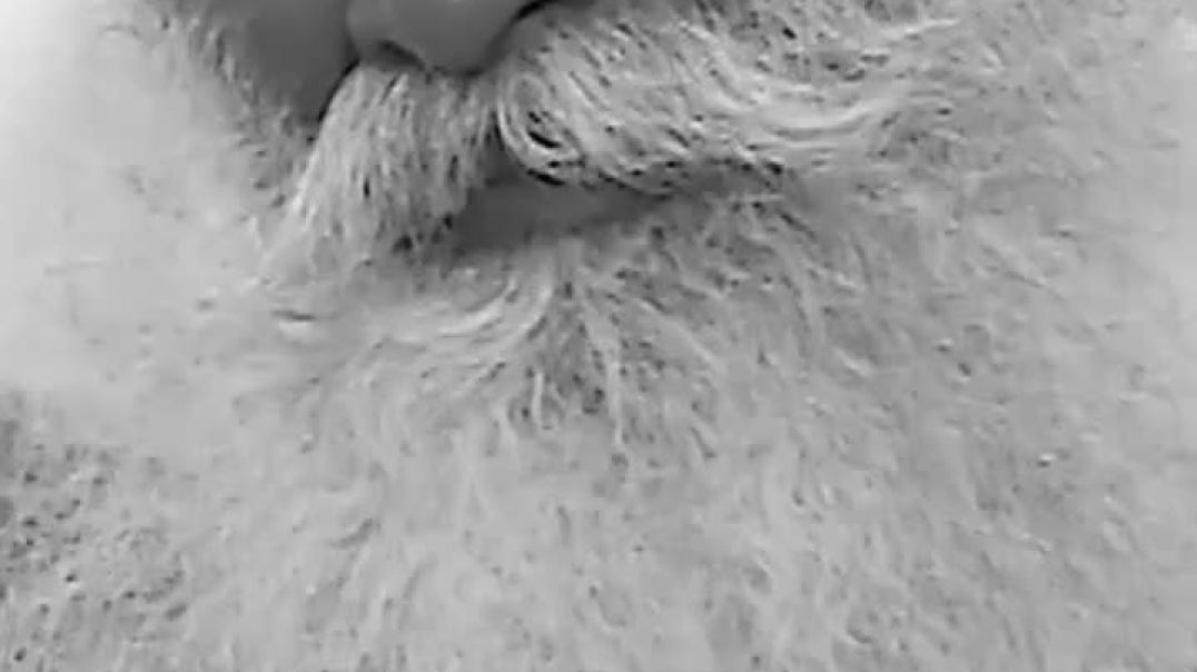 ⁣खुशी सिर्फ शुरुआत है लक्ष्य नहीं - miracle of mind मन का चमत्कार Sadhguru