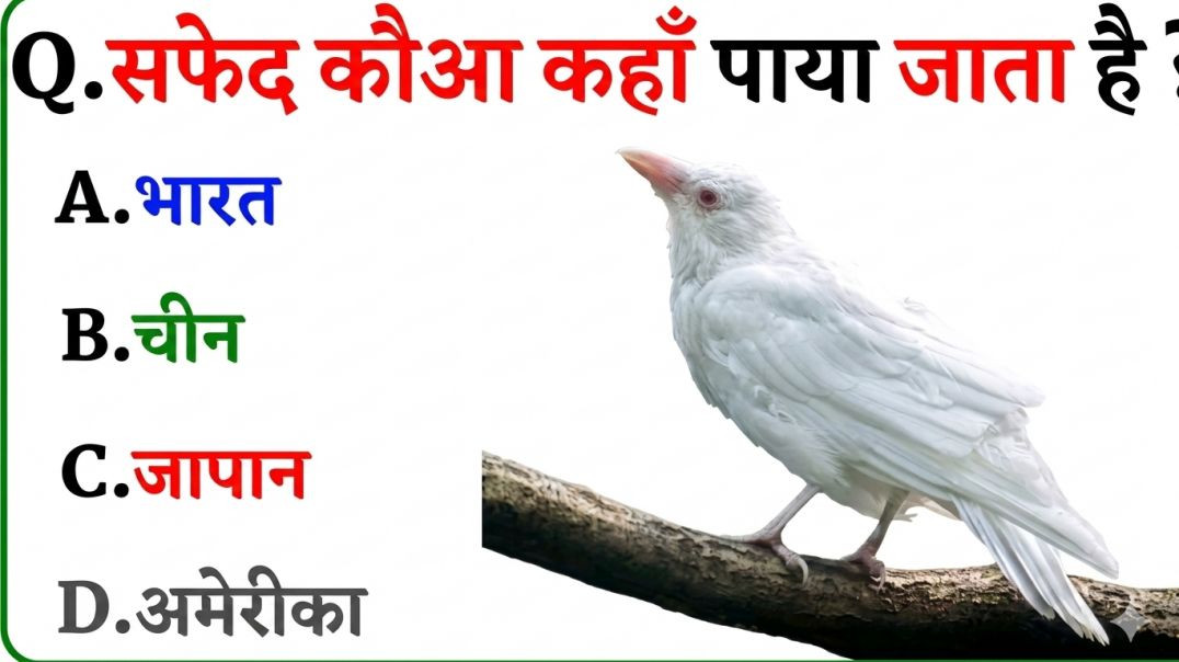 ⁣GK Question || GK In Hindi || GK Question and Answer || GK Quiz || Riya Rawani || 50