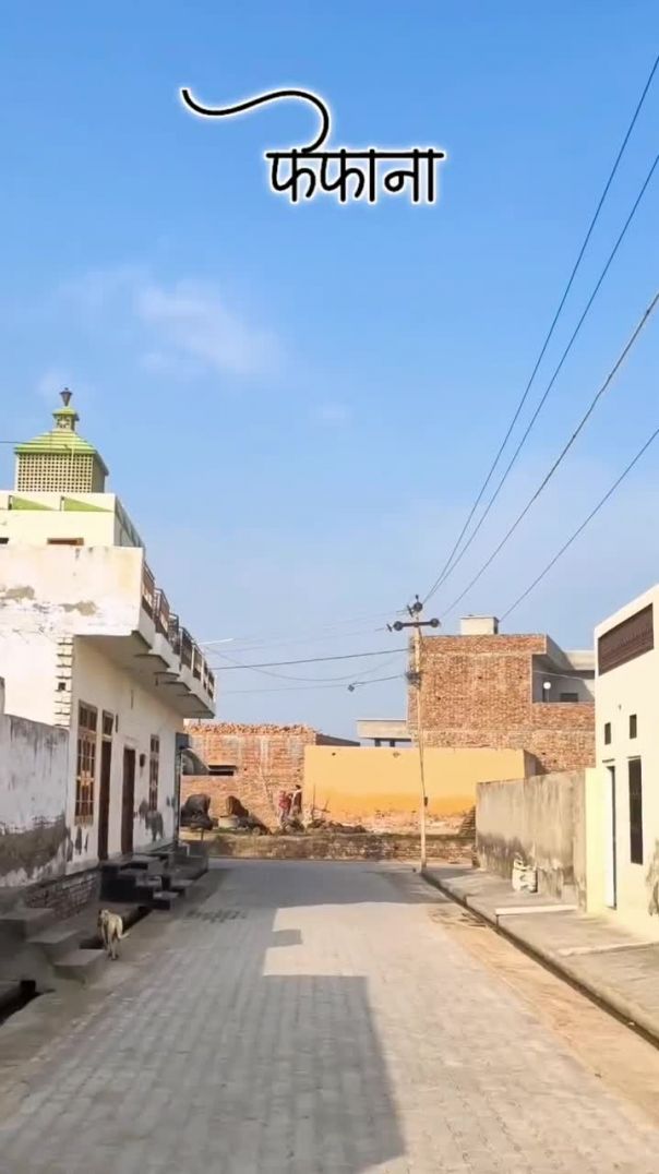 Aapna Phephana - Tamanna meri