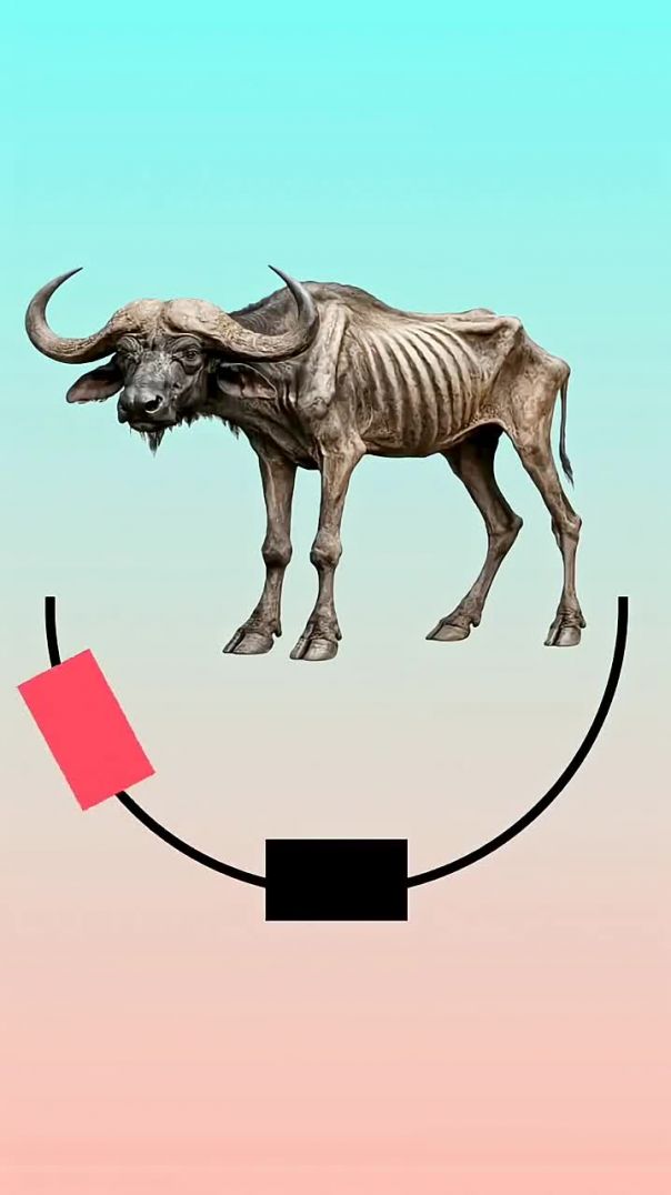 इस चैलेंज को पूरा कर करके दिखाओ 😱 #challenge #short #puzzle #viral #animal #buffalo #clipo