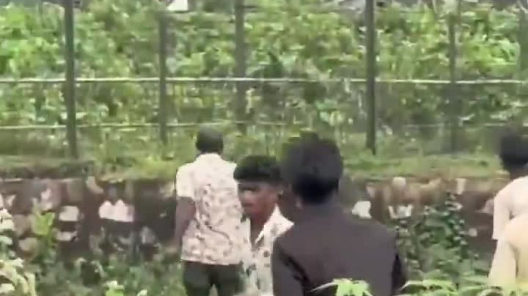 ⁣STONE PELTING AT INDIA BANGLADESH BORDER in Jamalpur West Bengal