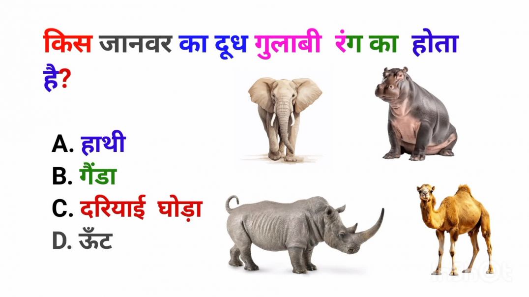 ⁣🔥 5 ऐसे GK Questions जिनका जवाब 99% लोग नहीं जानते | Hard GK Quiz 🤯