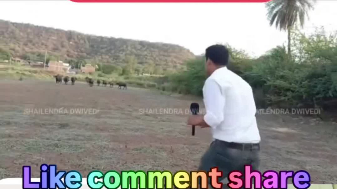 ⁣मीडिया की ये सच्चाई देखकर आपकी हंसी नहीं रुकेगी। पूरी वीडियो देखें और कमेंट में बताएं—क्या आप इस बात