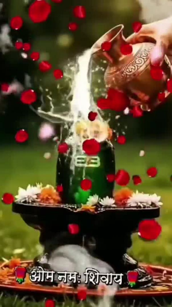 VID-20260608-WA0000