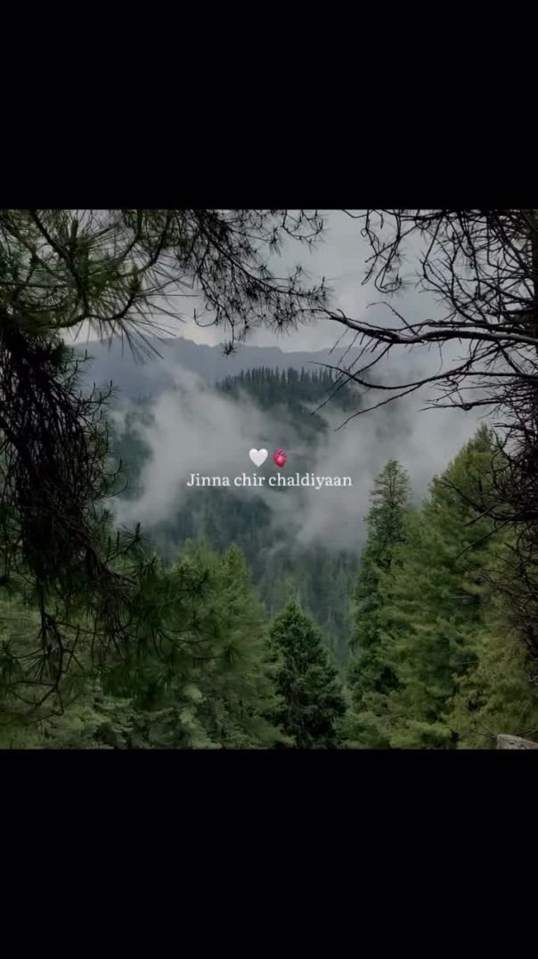 VID-20260615-WA0001