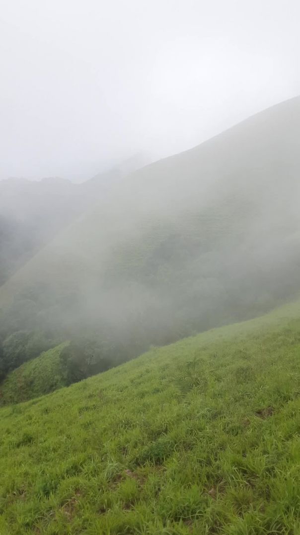Nature 🌈20250608_122129