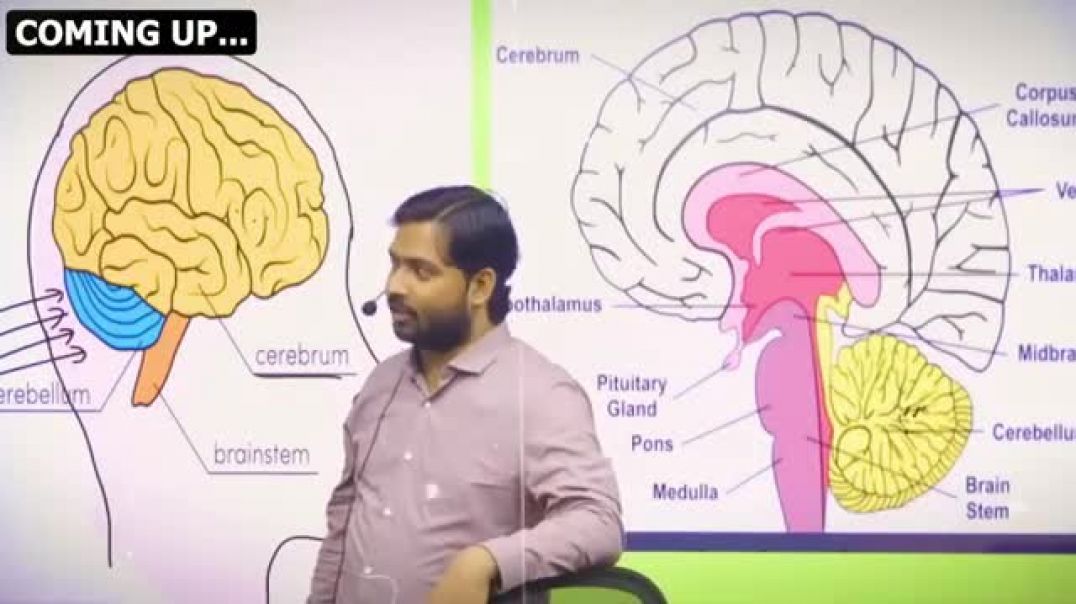 IQ_Level_का_पूरा_सच___किसी_का_IQ_ज़्यादा,_किसी_का_कम_क्यों_होता_है____What_is_IQ_Level