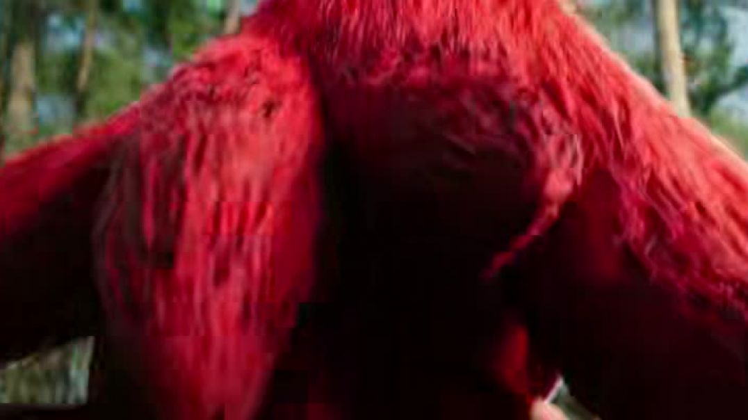 ⁣Knuckles S01 (Ep 1-6) 2024