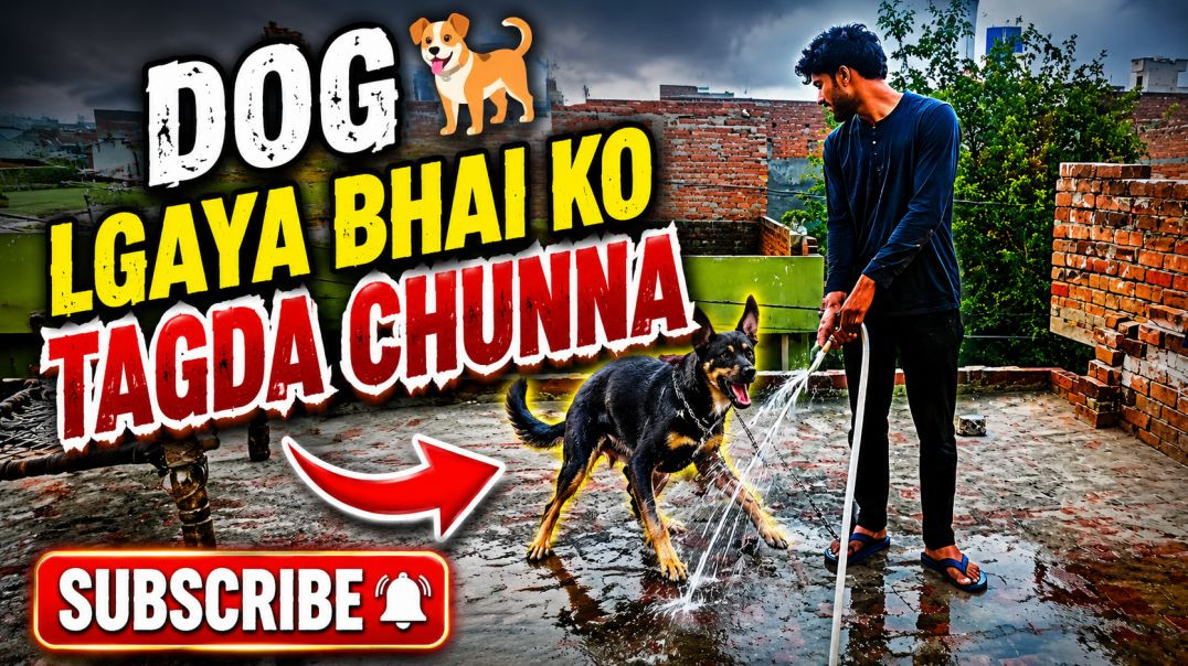 ⁣Dog ka reaction dekho to