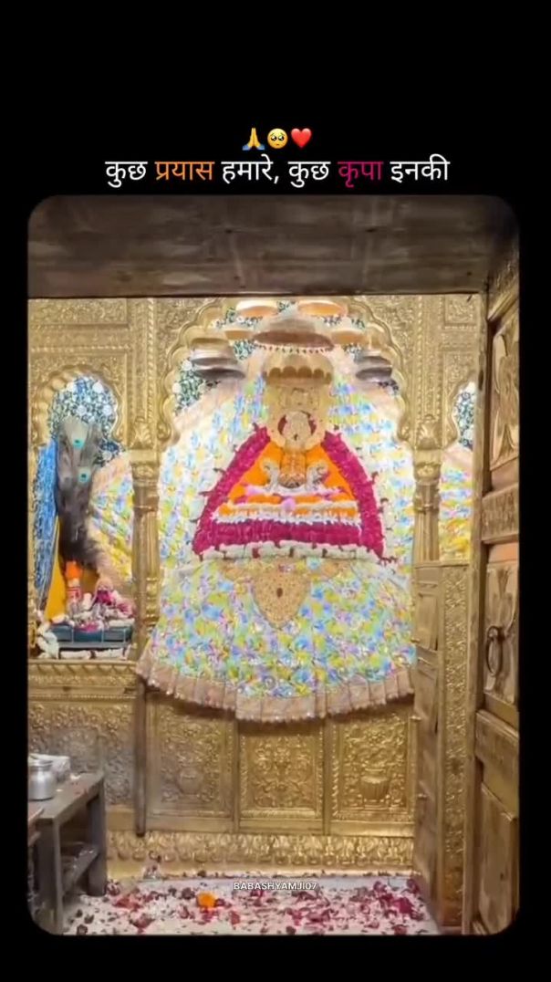 कुछ प्रयास हमारे, कुछ कृपा इनकी।
